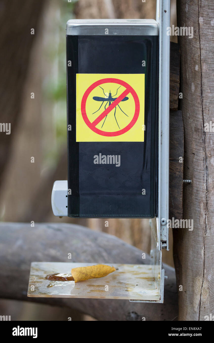 Stazione omeopatica repellente per zanzare sul sentiero a Sandos Caracol eco resort Foto Stock