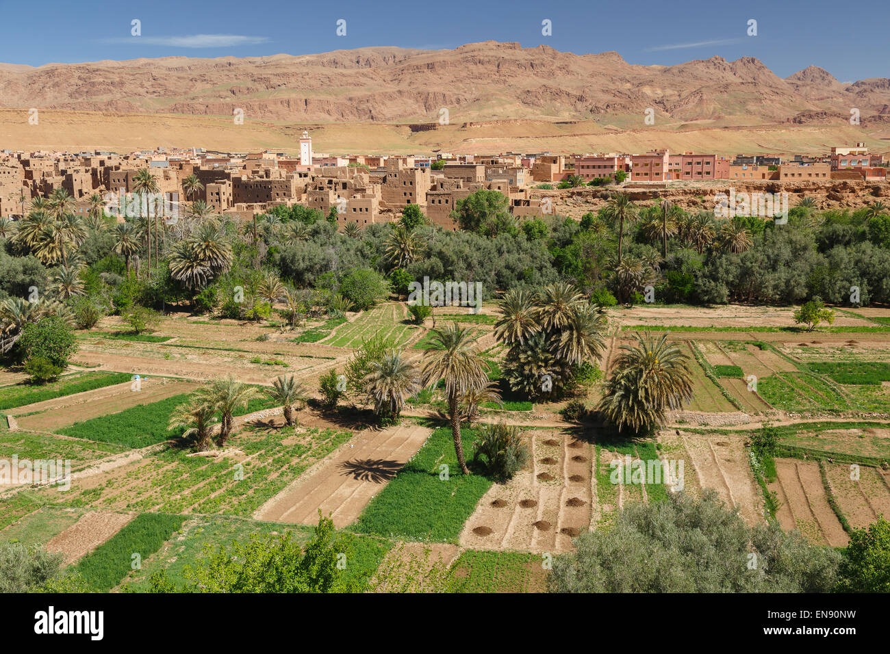 Terre, villaggio e palme. Tinerhir. Il Marocco. Africa Foto Stock