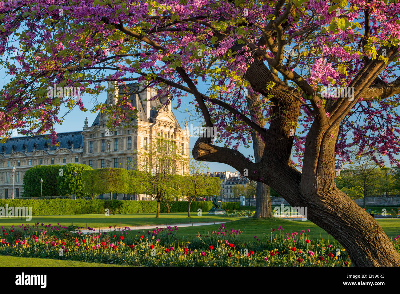 Serata primaverile nel Jardin des Tuileries con il Musee du Louvre al di là, Parigi Francia Foto Stock