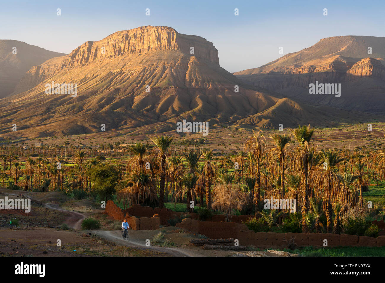 Foresta di palme, uomo e mountians. Nkob. Il Marocco. Africa Foto Stock