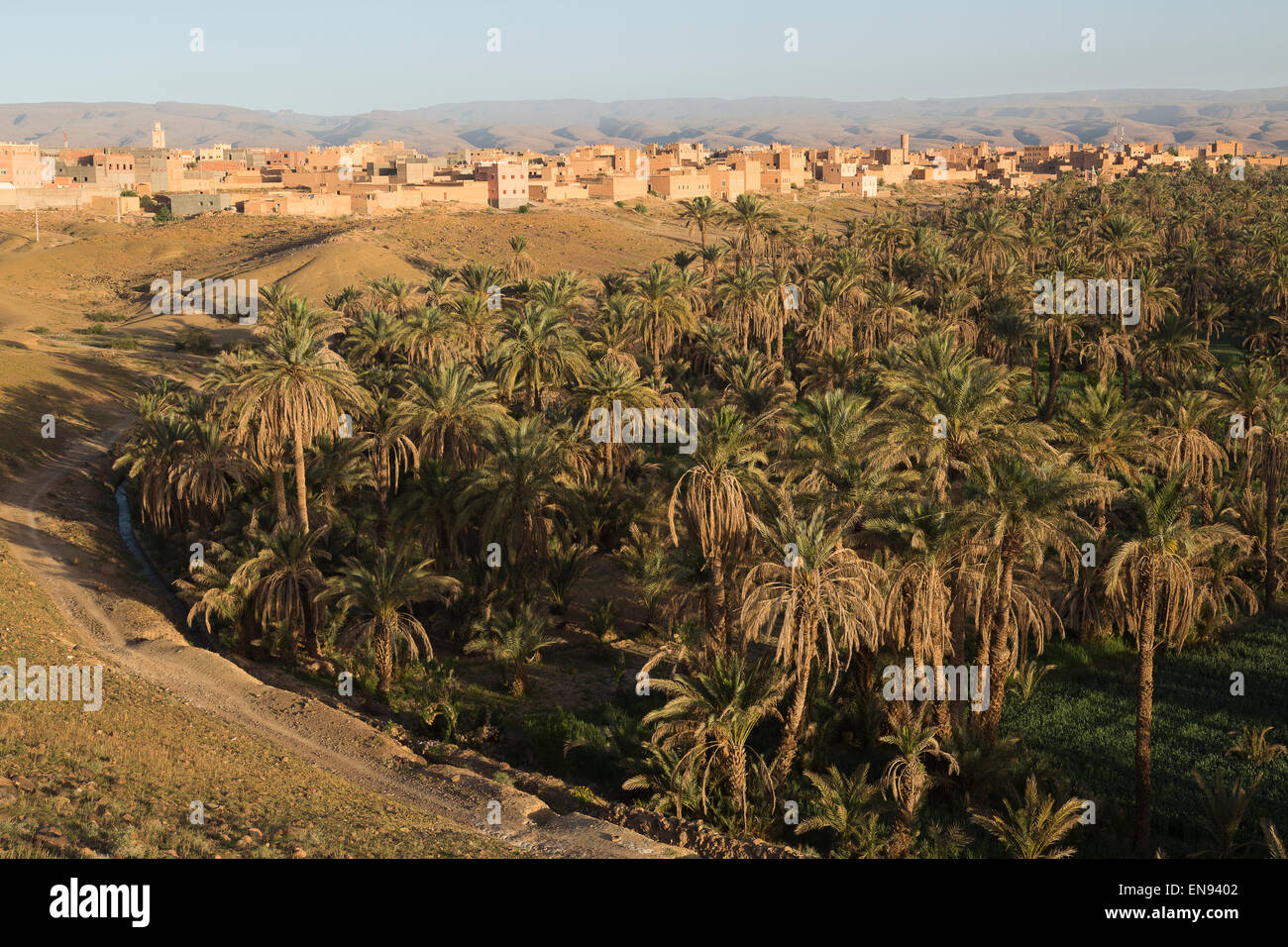 Foresta di palme. Nkob. Il Marocco. Africa Foto Stock