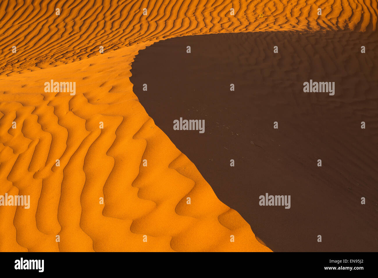 Le dune di sabbia. Lihoudi dune. Deserto del Sahara. Il Marocco. Foto Stock