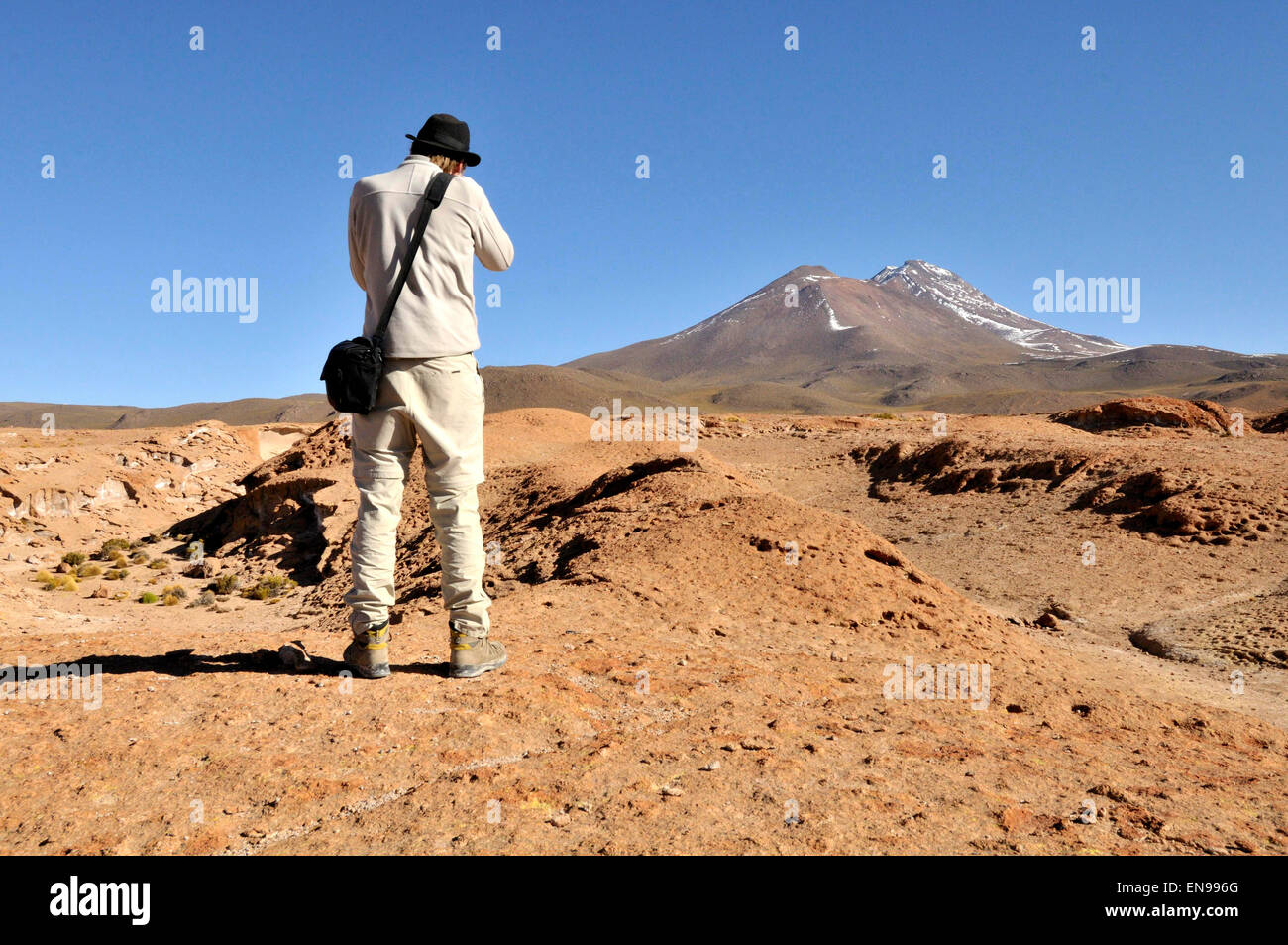 riserva-nazionale-andina-immagini-e-fotografie-stock-ad-alta