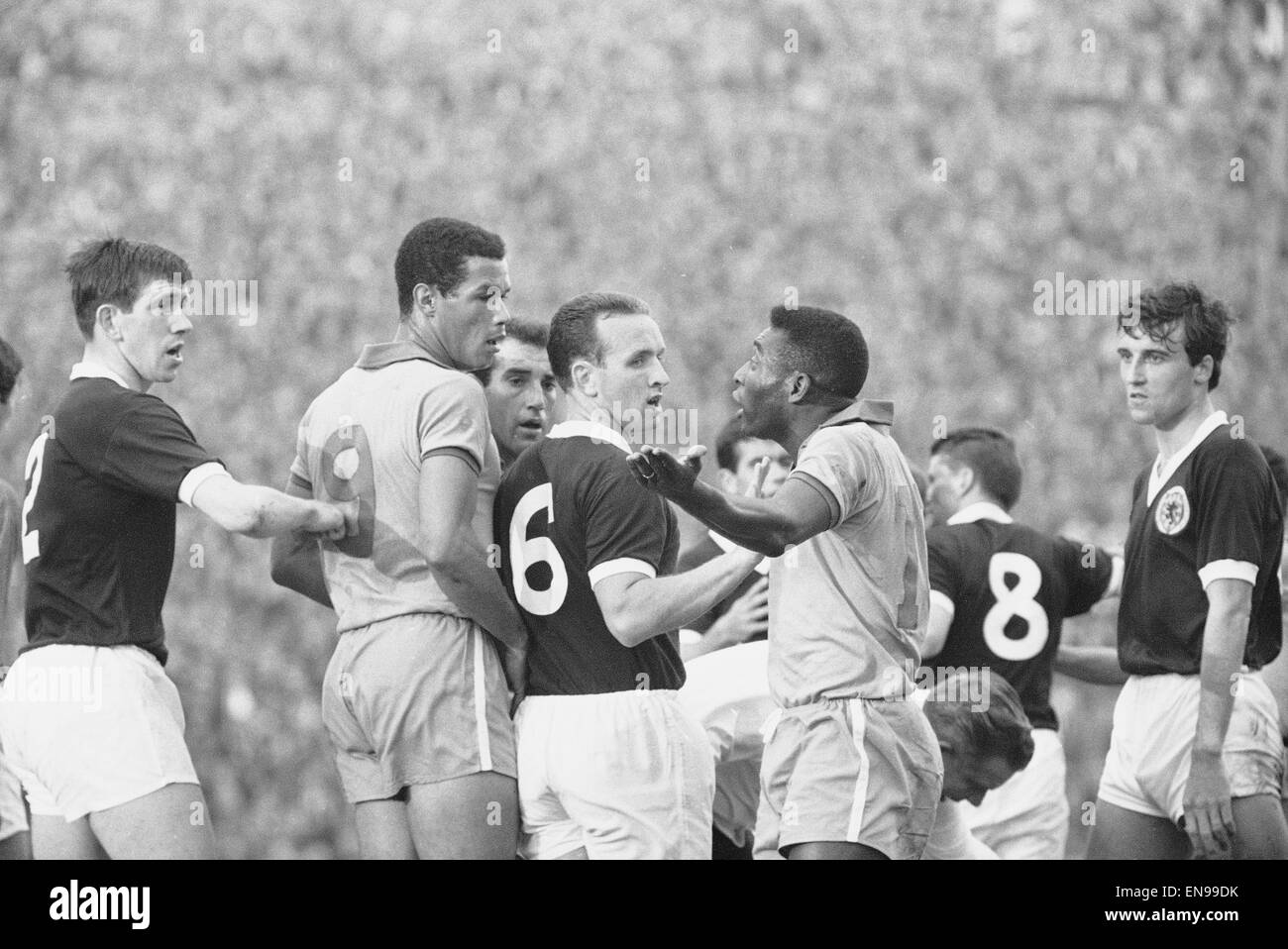 Scozia v Brasile amichevole internazionale all'Hampden Park, 25 giugno 1966. Pele coinvolti in un argomento con John Clark, Scottish metà sinistra. Punteggio finale: Scozia 1-1 Brasile Foto Stock