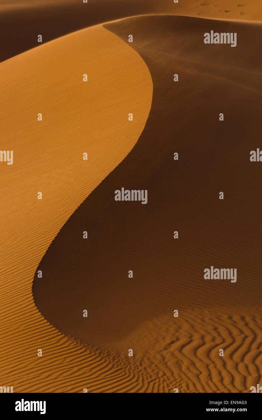 Dune di sabbia, Erg Chegaga. Deserto del Sahara. Il Marocco. L'Africa. Foto Stock