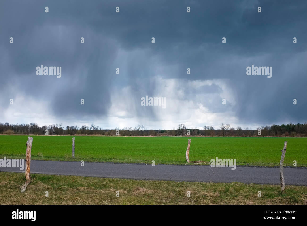 Pioggia nuvole su campi, Brandeburgo, Germania Foto Stock