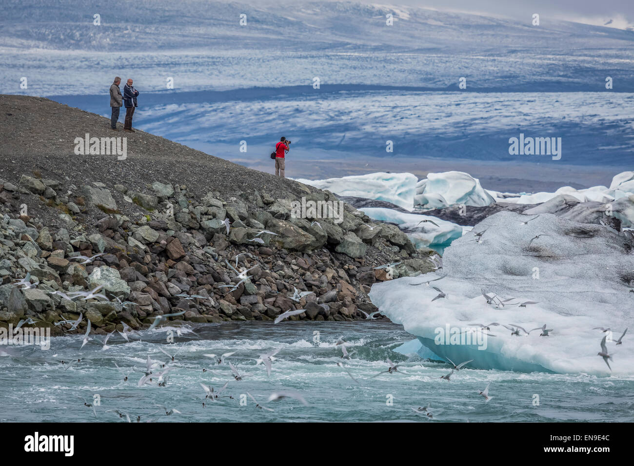 Icebergs-Jokulsarlon laguna glaciale Breidamerkurjokull, ghiacciaio Vatnajokull calotta di ghiaccio, Islanda Foto Stock