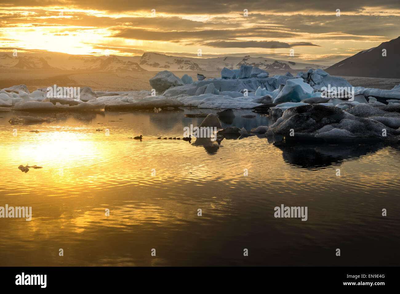 Icebergs-Jokulsarlon laguna glaciale Breidamerkurjokull, ghiacciaio Vatnajokull calotta di ghiaccio, Islanda Foto Stock