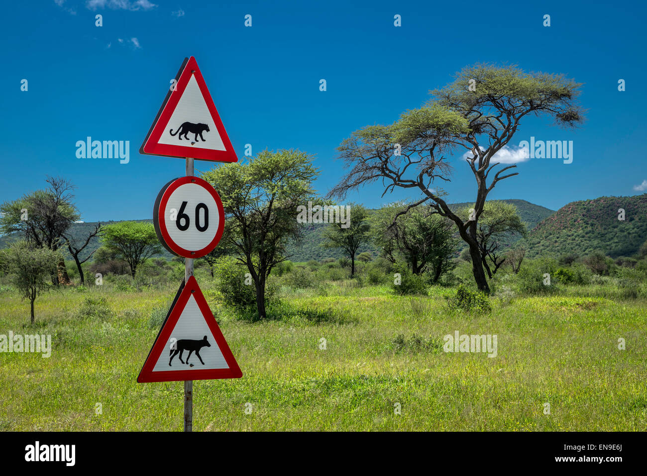 Segnaletica stradale con limite di velocità e animal crossing, l'Okonjima, Namibia, Africa Foto Stock