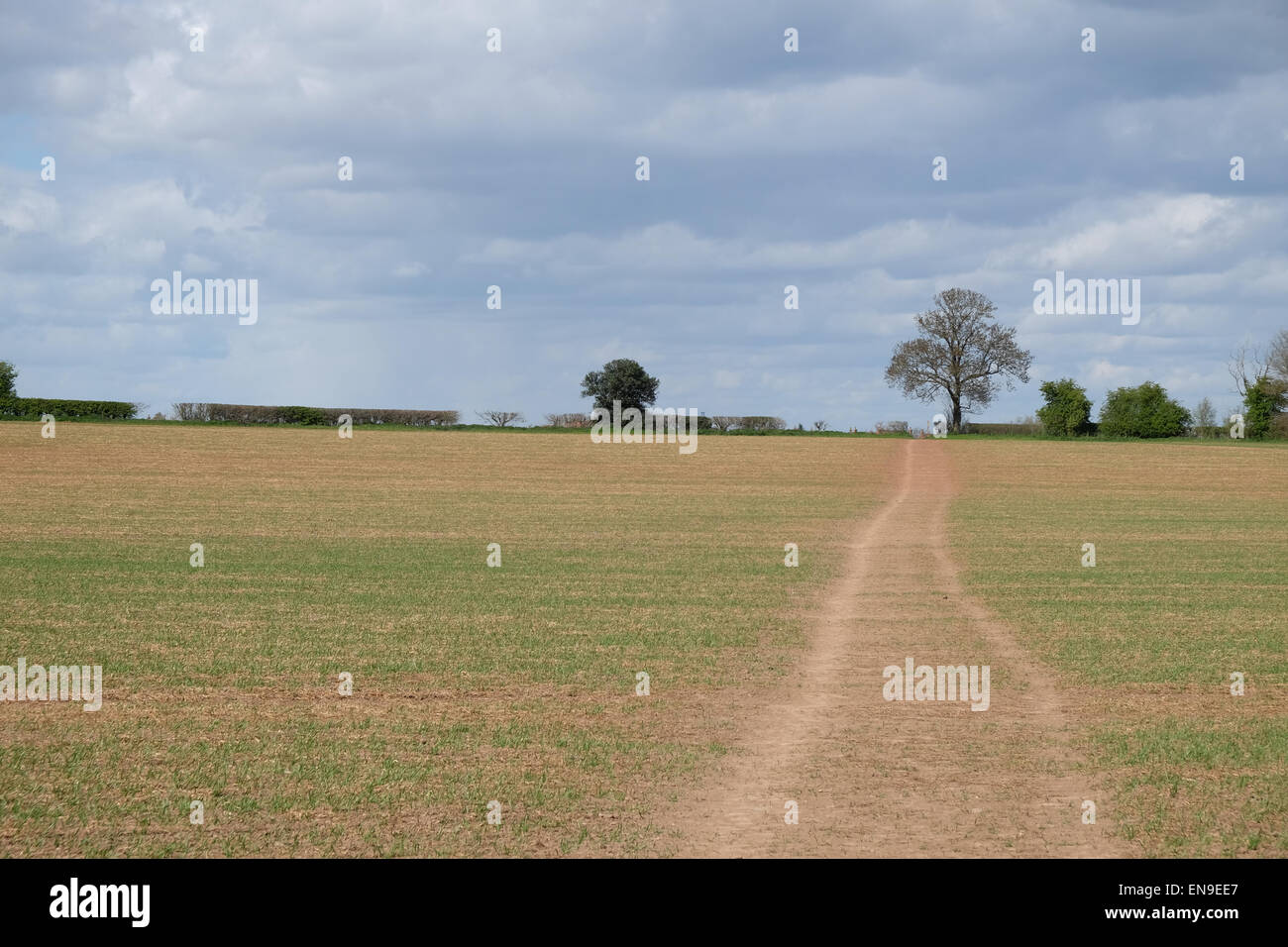Guardando attraverso i terreni agricoli verso loughborough Foto Stock
