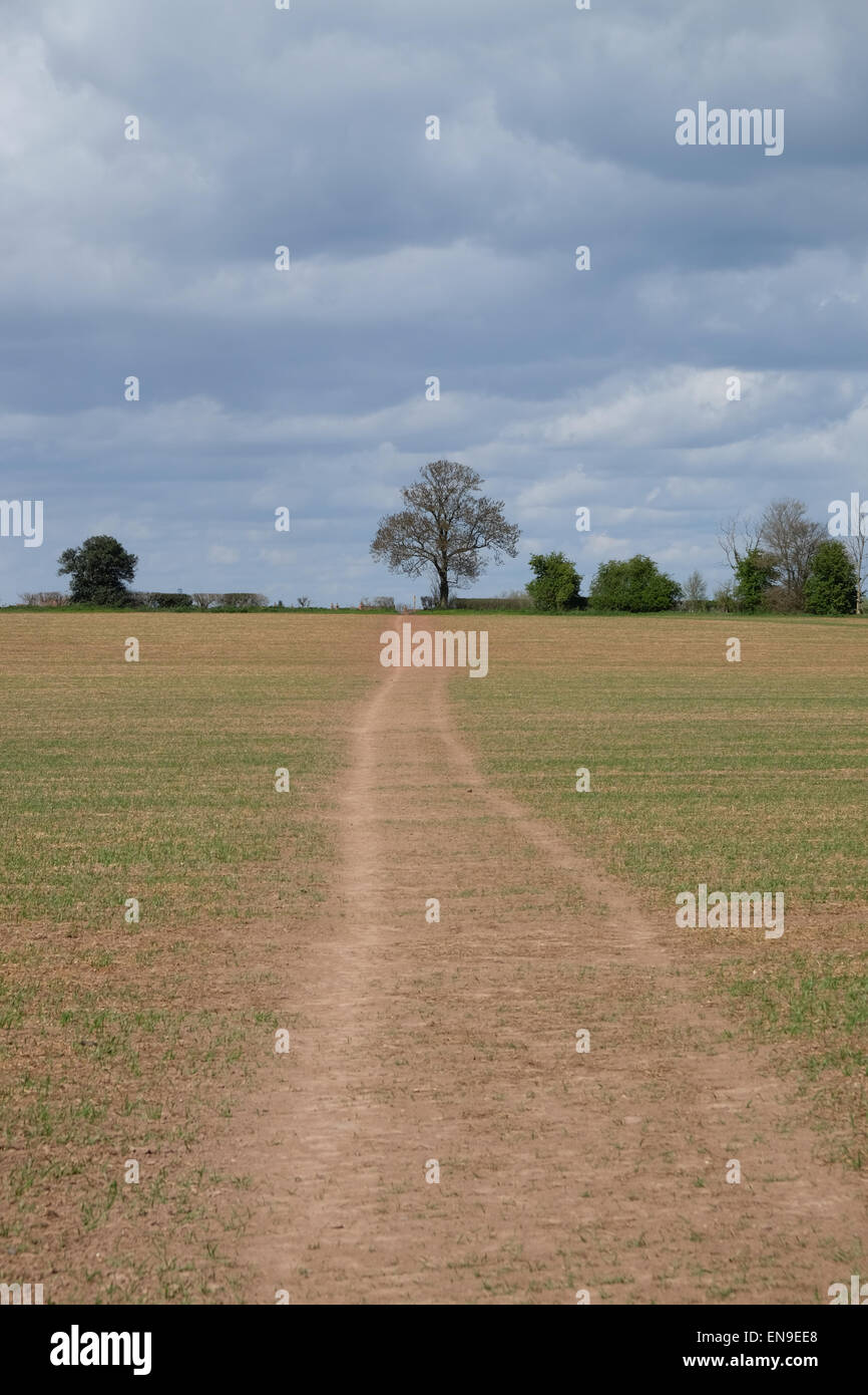 Guardando attraverso i terreni agricoli verso loughborough Foto Stock