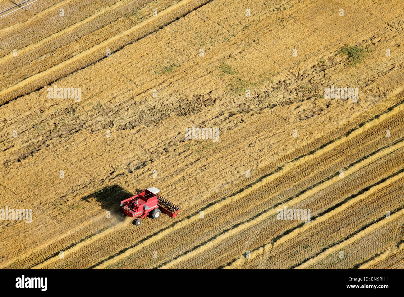 Una veduta aerea di macchinari agricoli in campo la raccolta di frumento Foto Stock