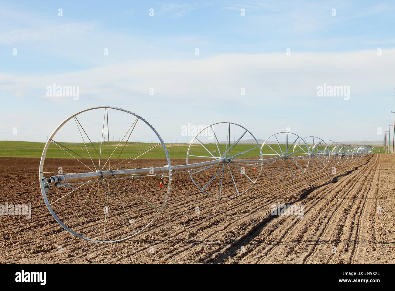 Una ruota di linea del sistema di irrigazione utilizzato per irrigare un campo di grano. Foto Stock
