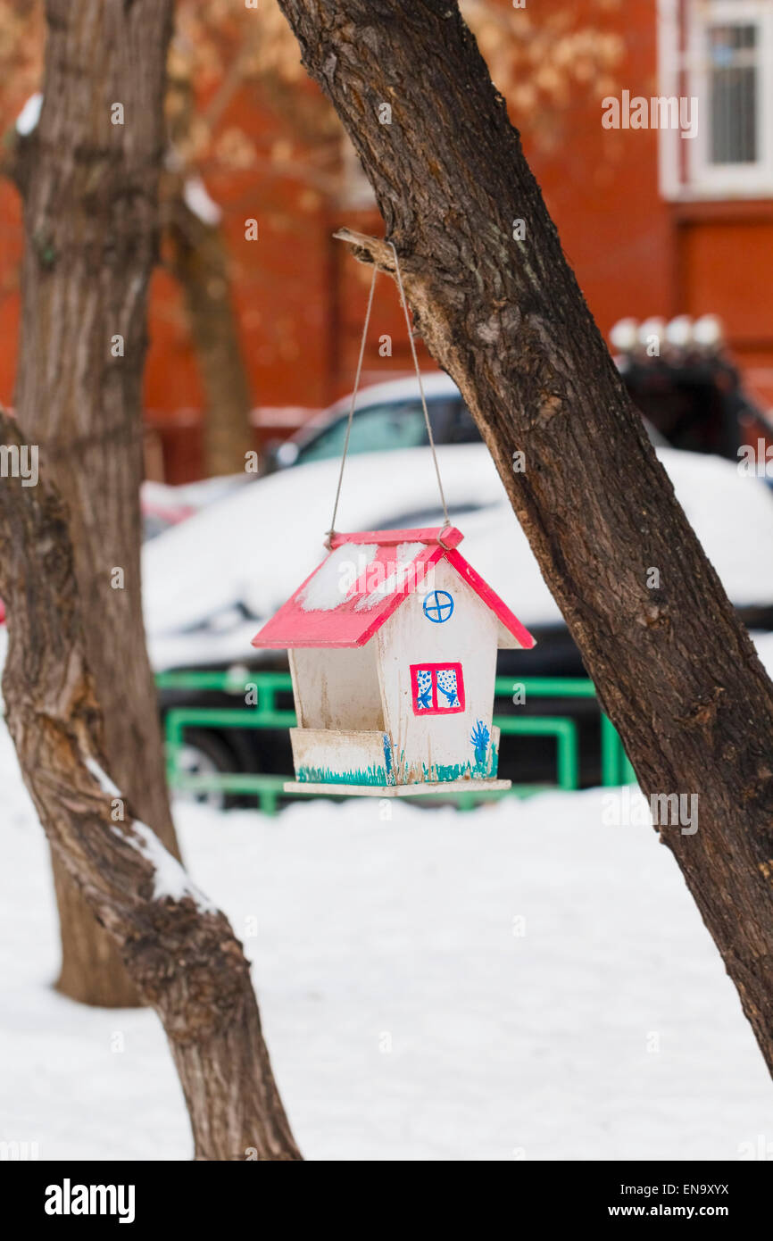 Trogolo in forma di casa si blocca in winter park su albero Foto Stock