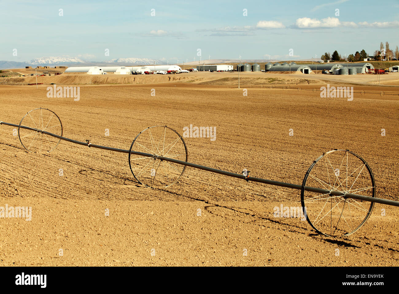 Un inizio di mattina vista di una linea di ruote impianto sprinkler. Foto Stock