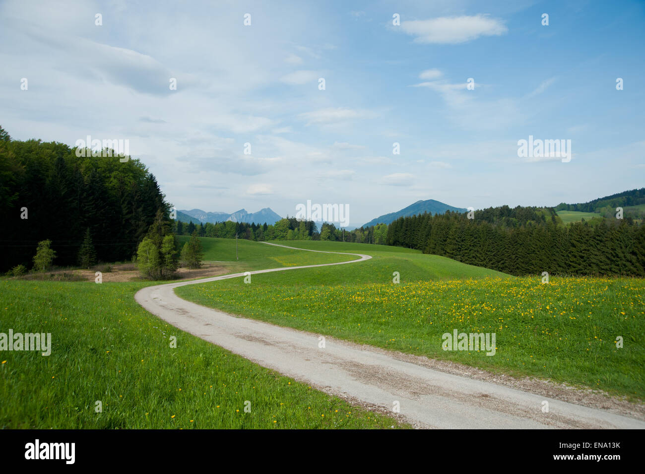 Piccola strada nella zona collinare paesaggio primaverile, Salzkammergut, Austria Foto Stock