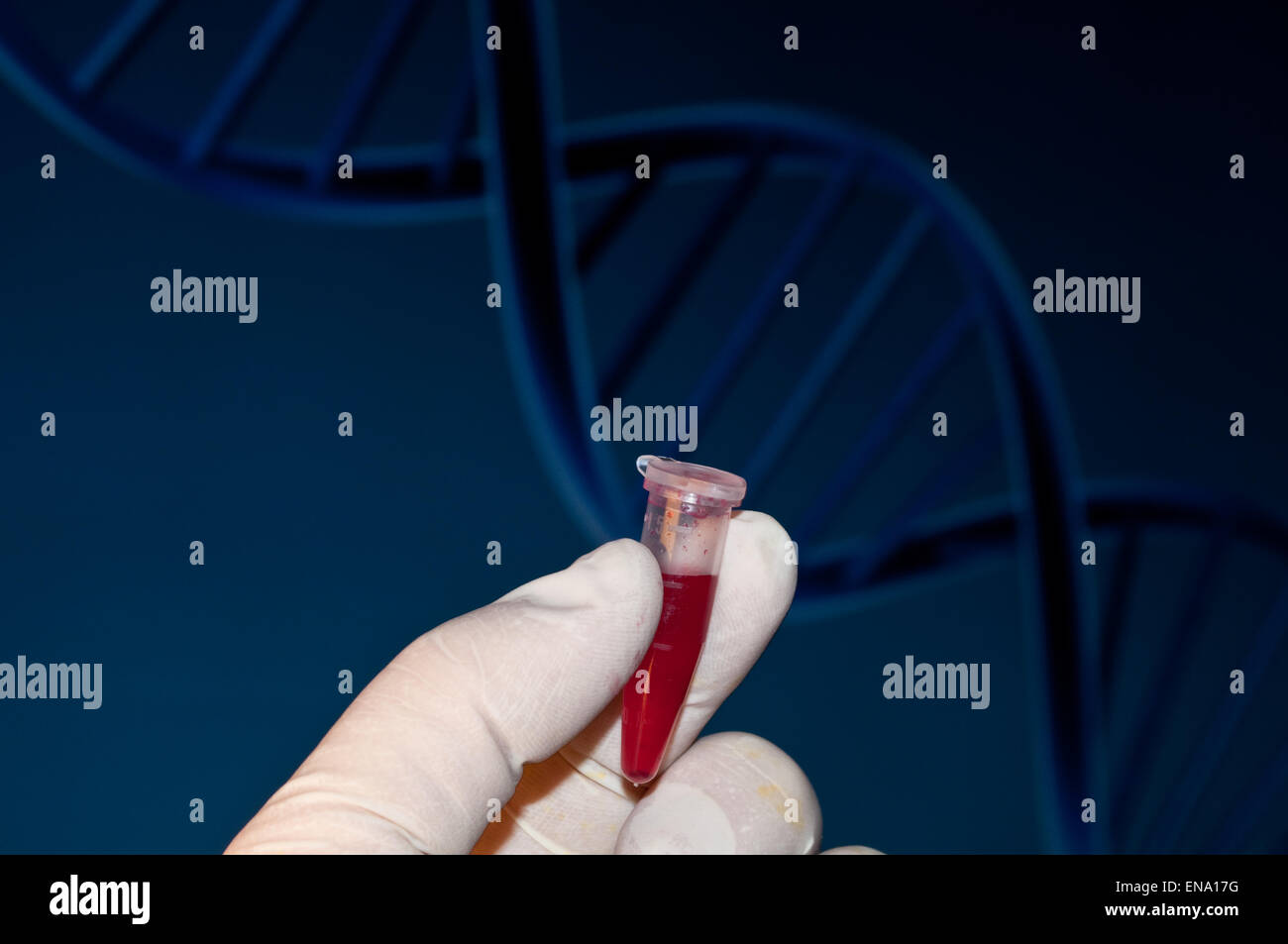 Il test del DNA del sangue in laboratorio. Il tubo di sangue sul contesto del DNA. Foto Stock