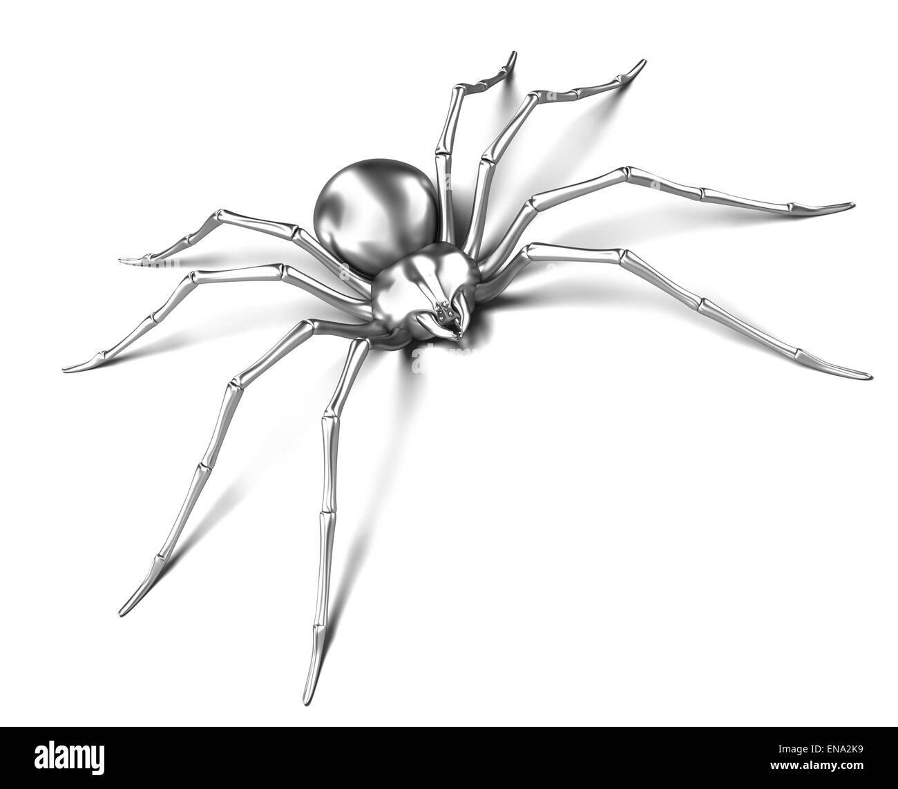 Spider - argento metallico. Black Widow. Isolato su bianco Foto Stock