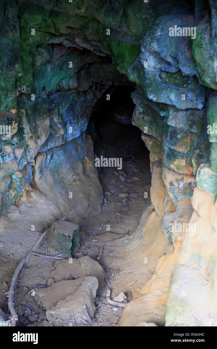 Creswell Crags è una gola calcarea con un favo di miele di grotte che sono state occupate durante l'ultima glaciazione. Foto Stock