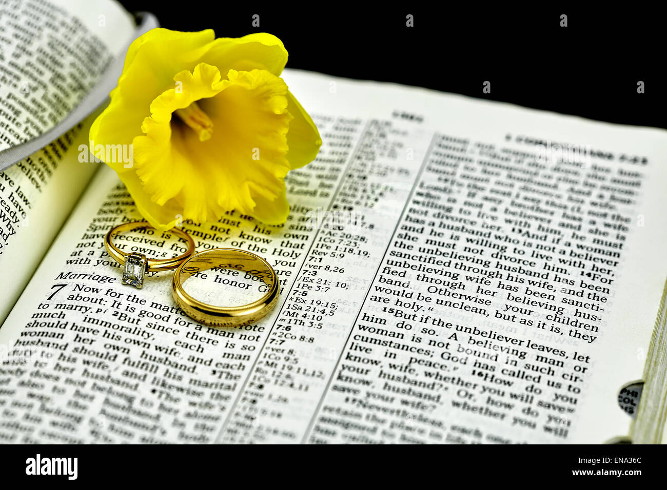 Aprire la Bibbia prenota con il fuoco selettivo sul matrimonio e diamanti e oro anelli di nozze e giallo daffodil fiore Foto Stock