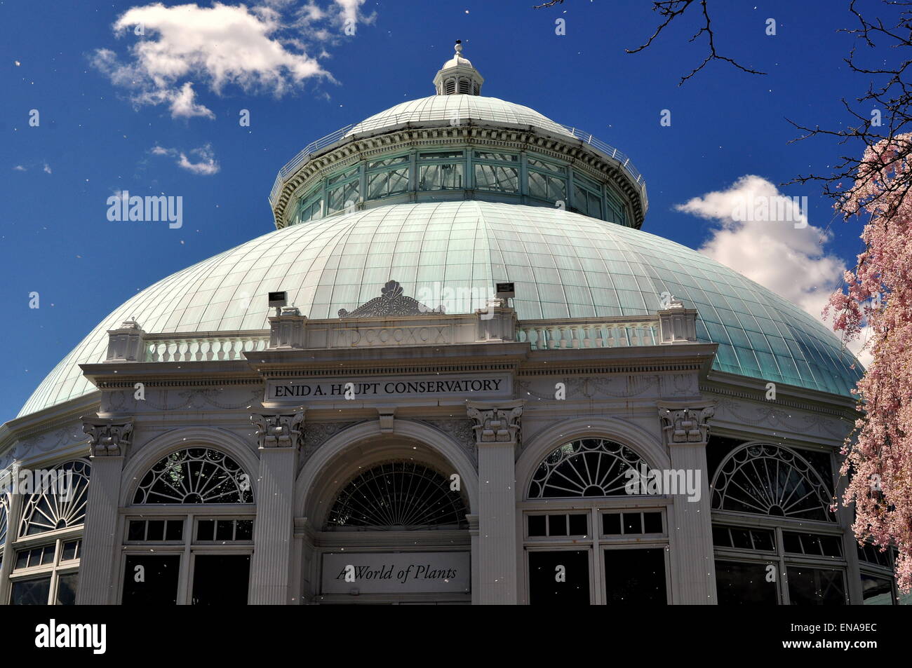 Bronx, New York: Dome di Enid Haupt Conservatory a New York il Giardino Botanico Foto Stock