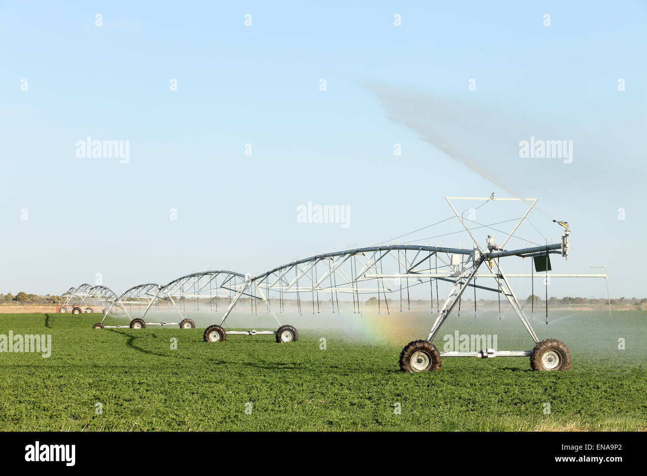 Un high tech center perno sprinkler agricoli irrigare le colture di fattoria. Foto Stock