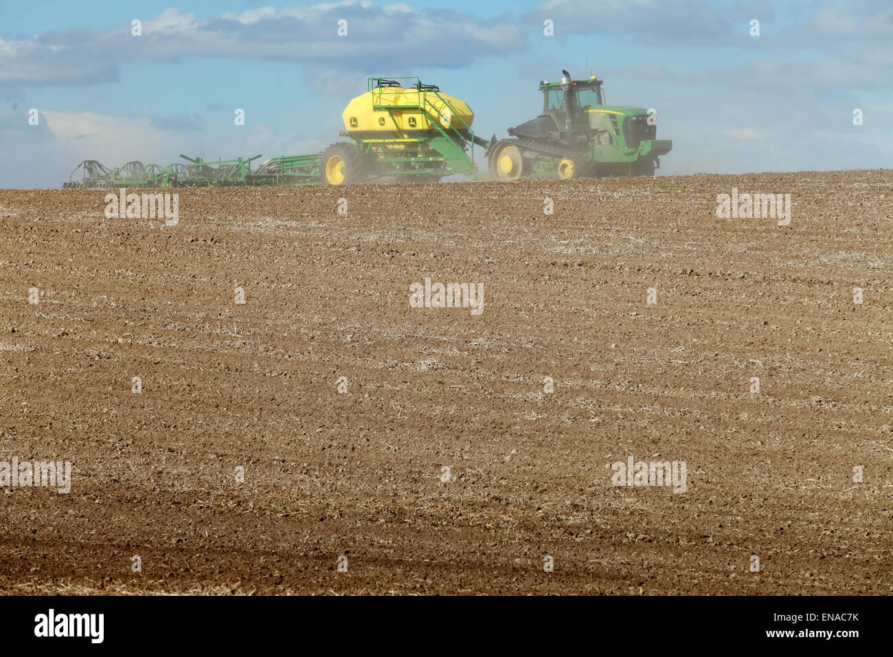 Macchinari agricoli nel settore diffusione pellettizzato, fertilizzante e le piantine di frumento. Foto Stock