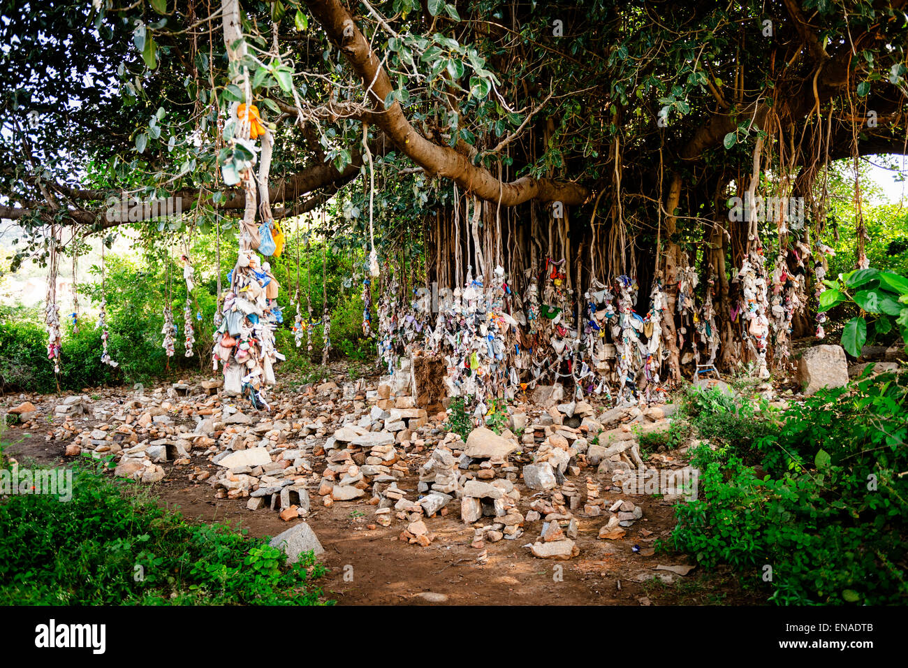 Offerte hanging off le radici di un banyan tree ad Hampi. Foto Stock