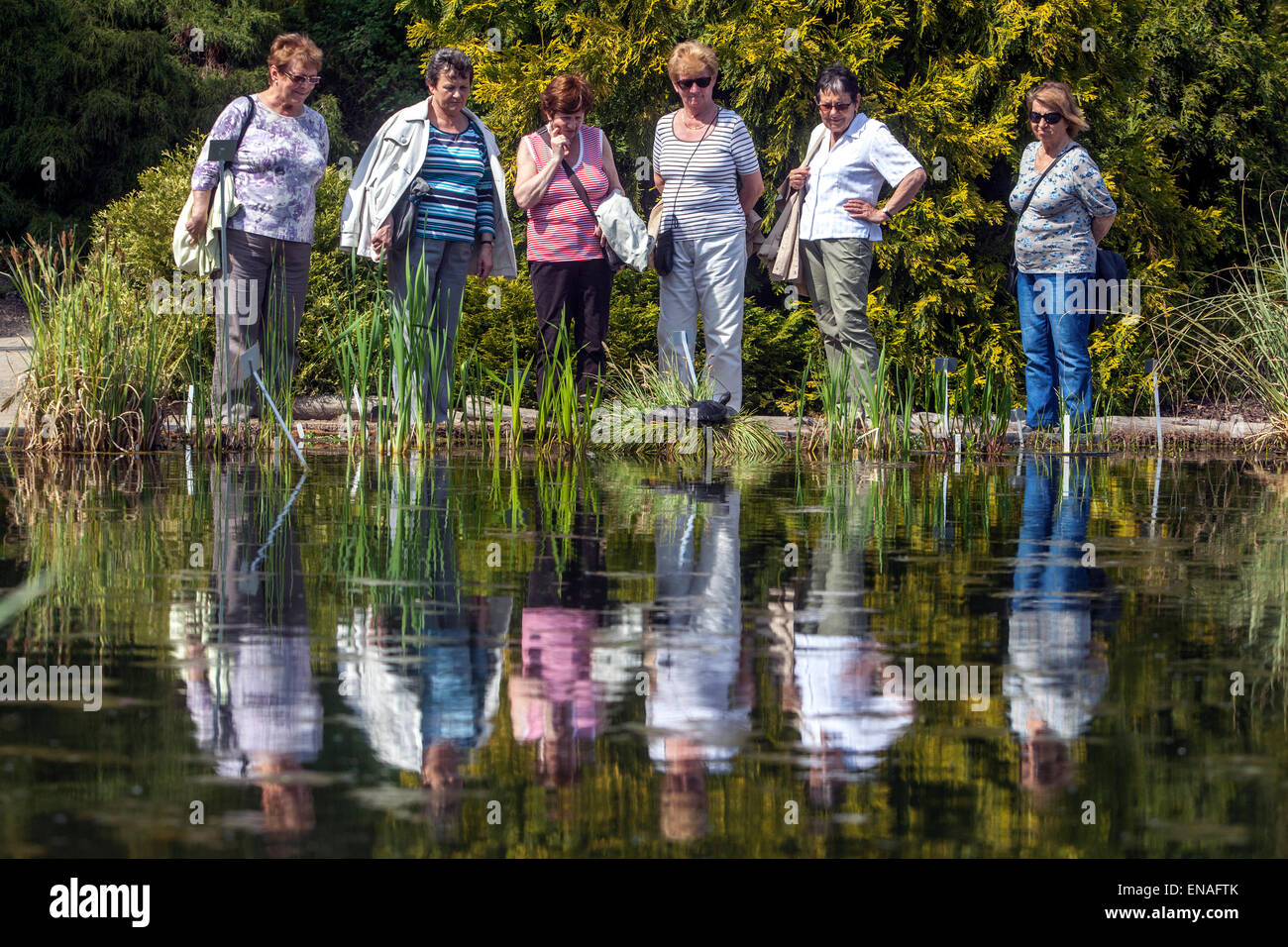 Sei donne anziane nel giardino botanico, Troja, Praga Repubblica Ceca pensionati attivi stanno guardando la tartaruga d'acqua, gruppo anziani insieme Foto Stock