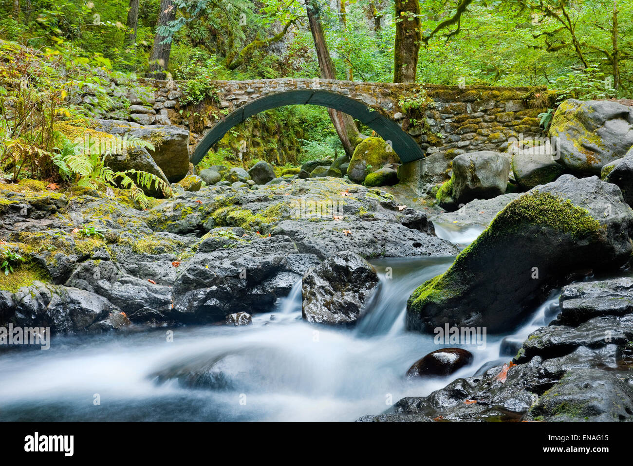 Flussi in Columbia River Gorge, Oregon Foto Stock