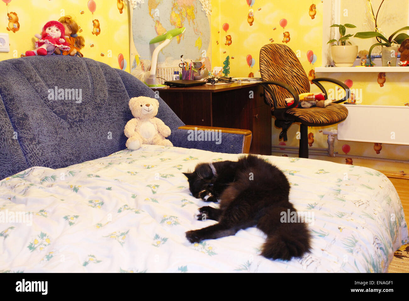 Gatto nero che giace prono sul letto nella stanza dei bambini Foto Stock