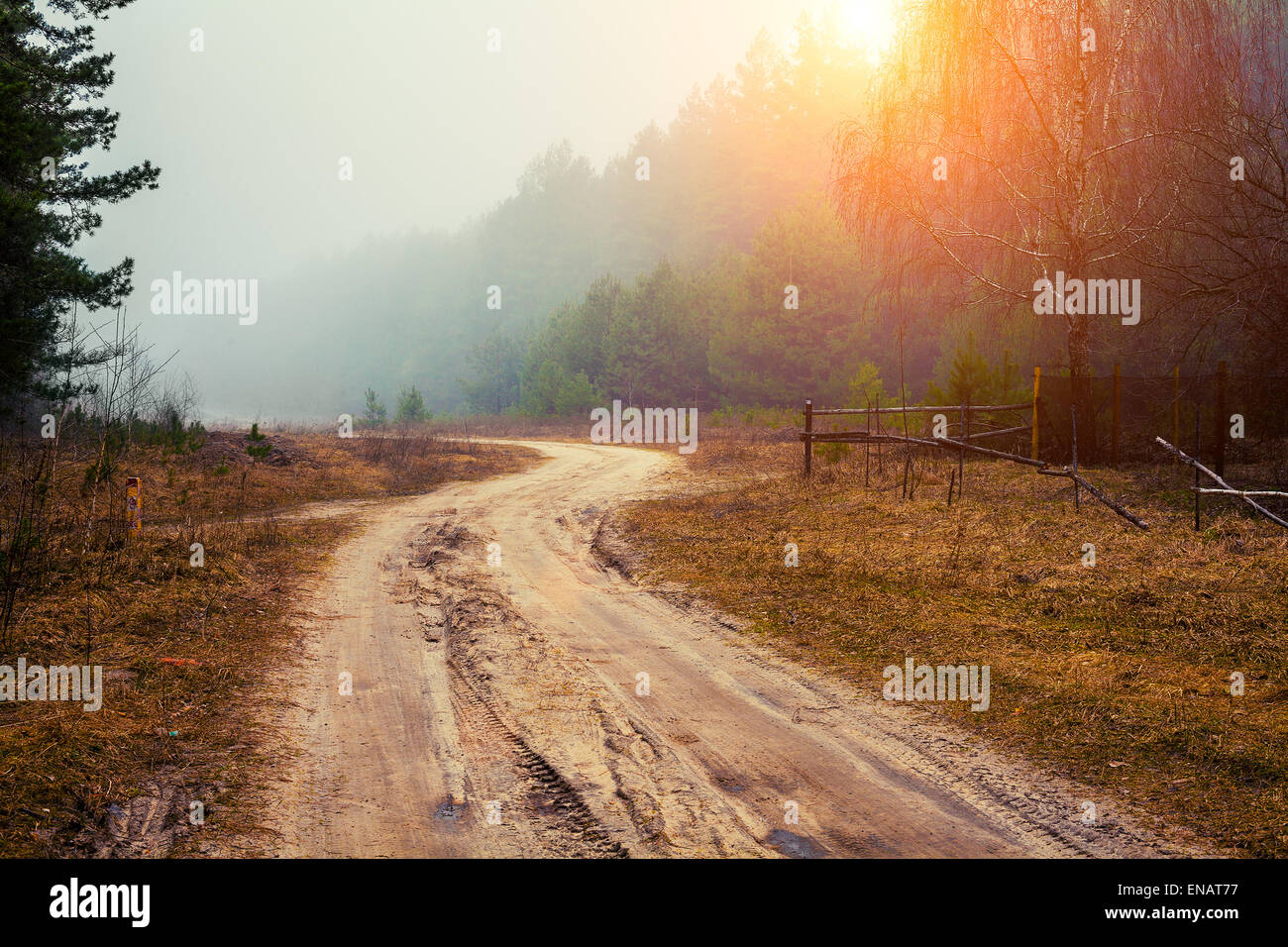 Rural mattinata nebbiosa Foto Stock