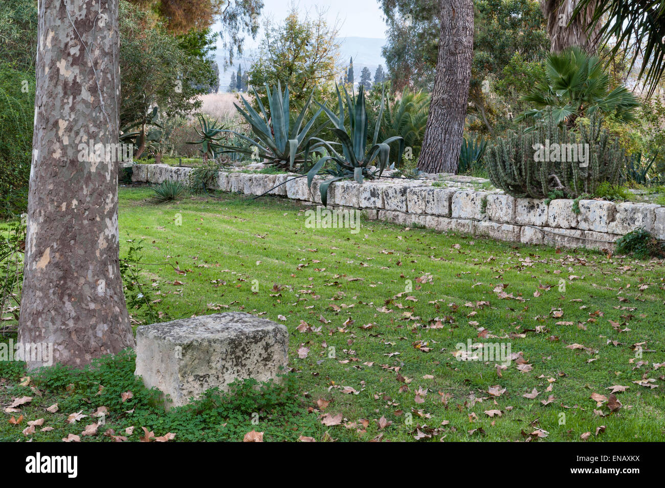 I giardini di Il Biviere, Catania, Sicilia, Italia. Una volta un porto romano, l'antico Romano quays rimangono in giardino Foto Stock