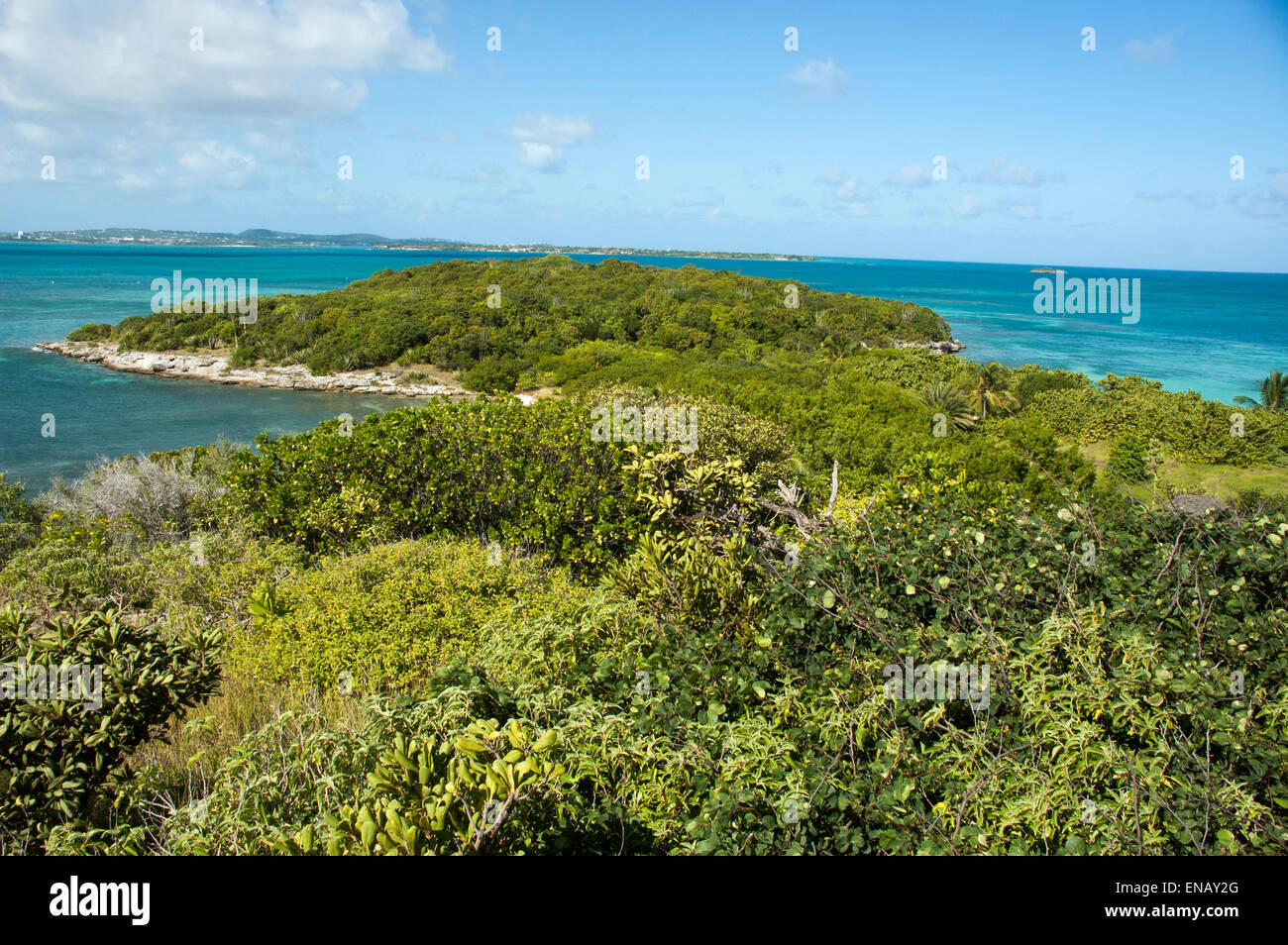 Grande Bird Island è un piccolo isolotto quasi tre chilometri al largo della costa nord-orientale di Antigua nei Caraibi. Foto Stock