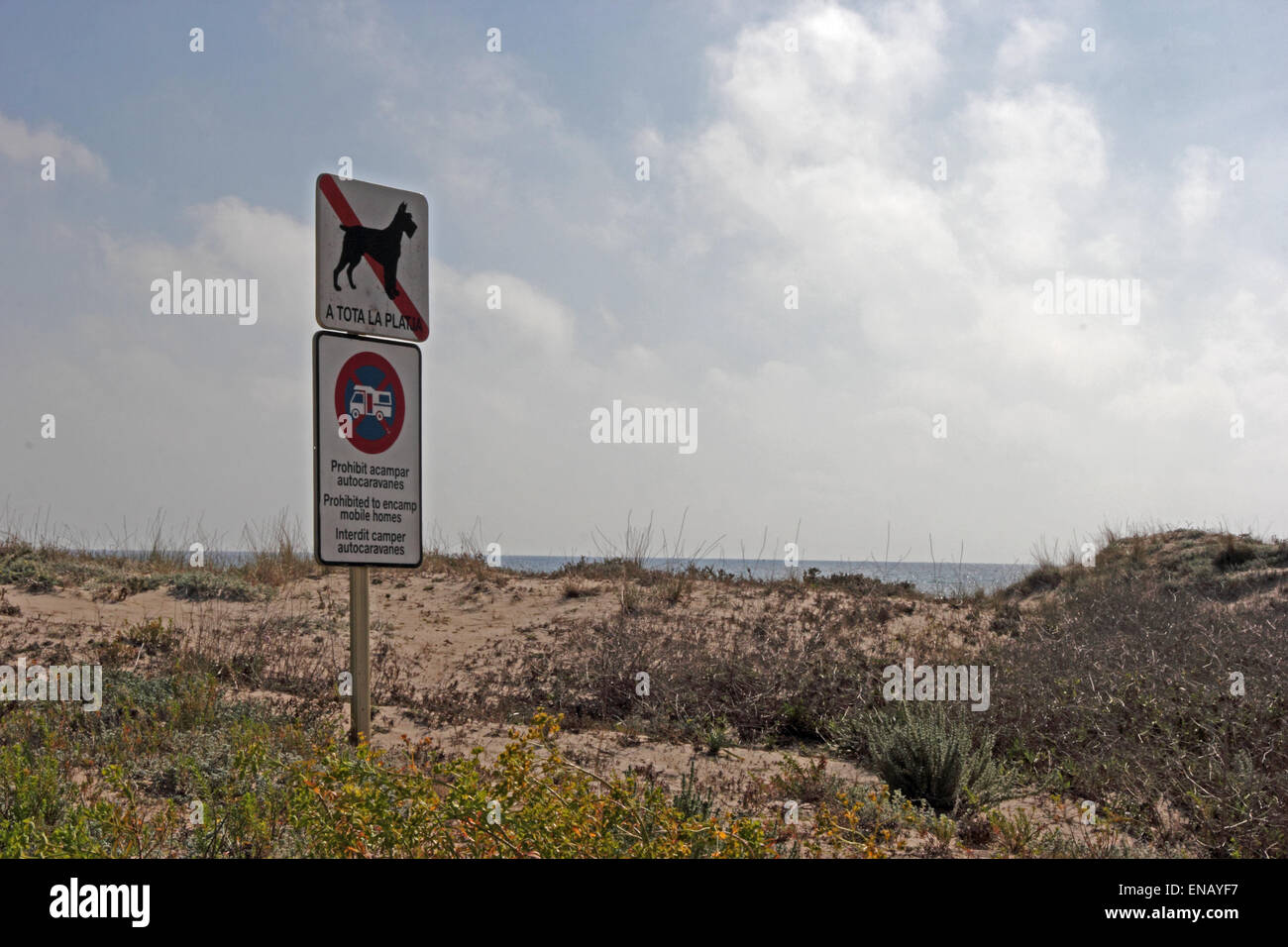 Segno che vieta i cani e case mobili da spiaggia, Spagna Foto Stock