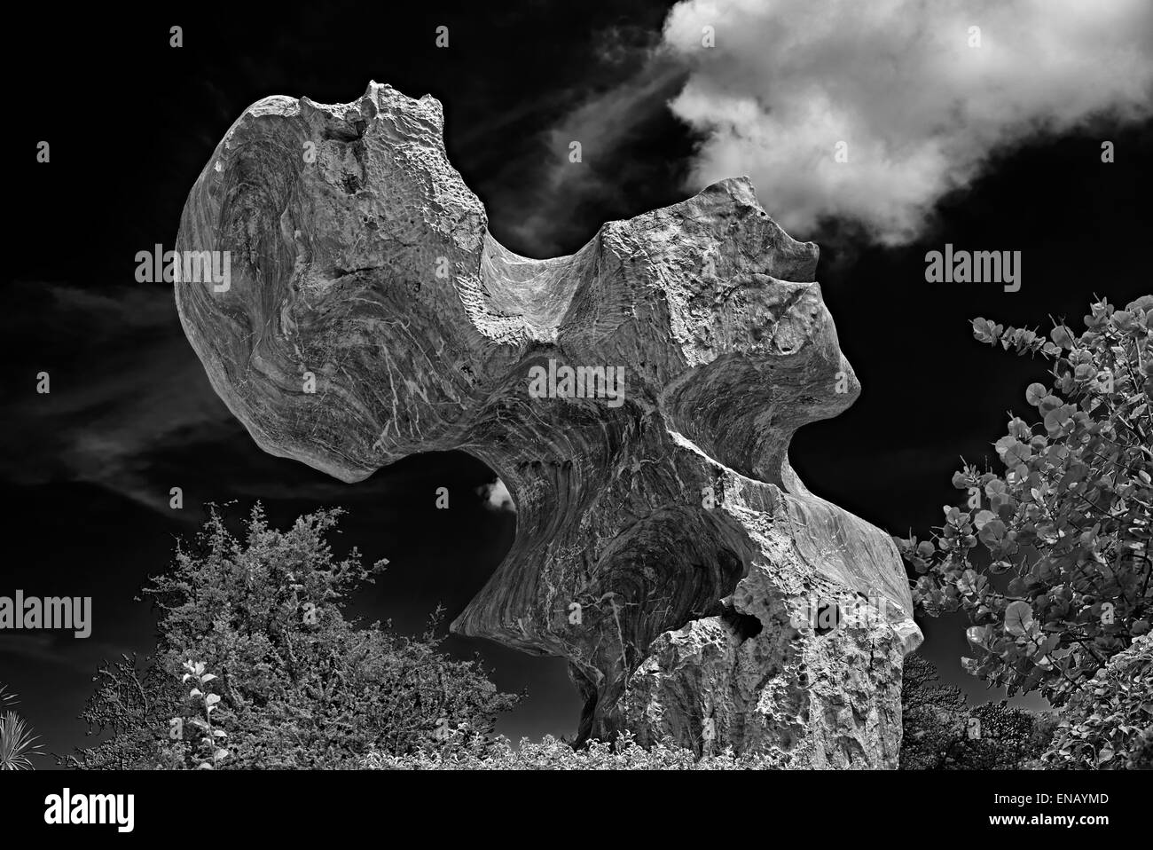 Curiose e formazione di pietra. Geologici naturali forme dispari, la fotografia in bianco e nero Foto Stock