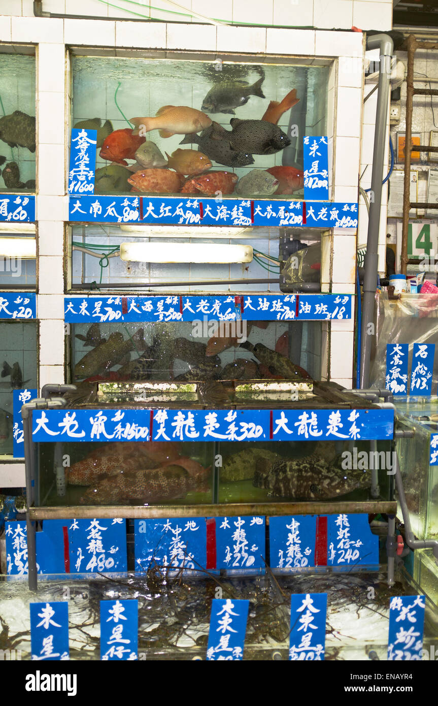 Dh pesce serbatoio MARKET HONG KONG serbatoi pesce pesce del mercato per la vendita in Cina Foto Stock
