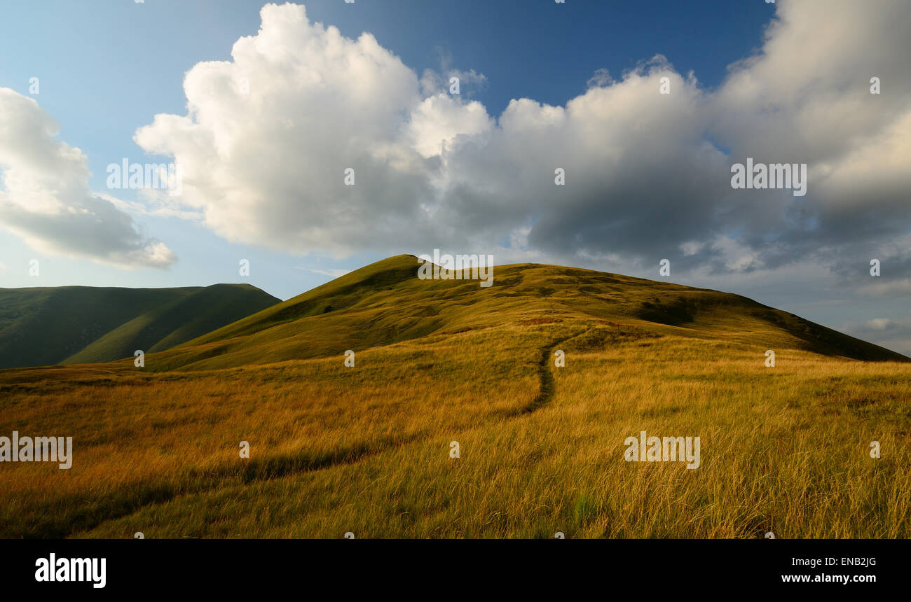 Sentiero di montagna che si snodano attraverso le colline di erba marrone con erba e soffici nuvole Foto Stock