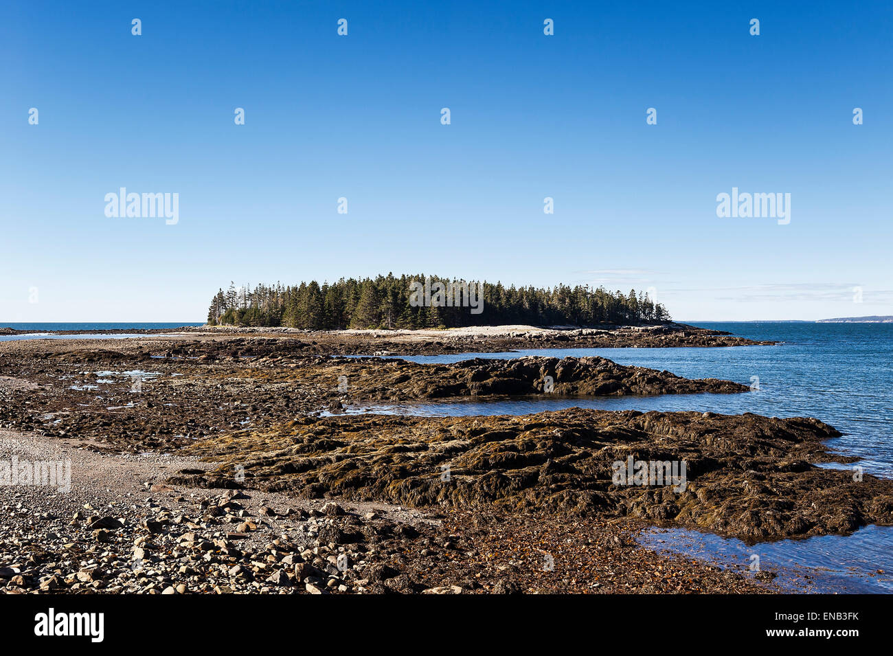 Isola di stagno, Parco Nazionale di Acadia, Winter Harbour, Schoodic Peninsula, Maine, Stati Uniti d'America Foto Stock
