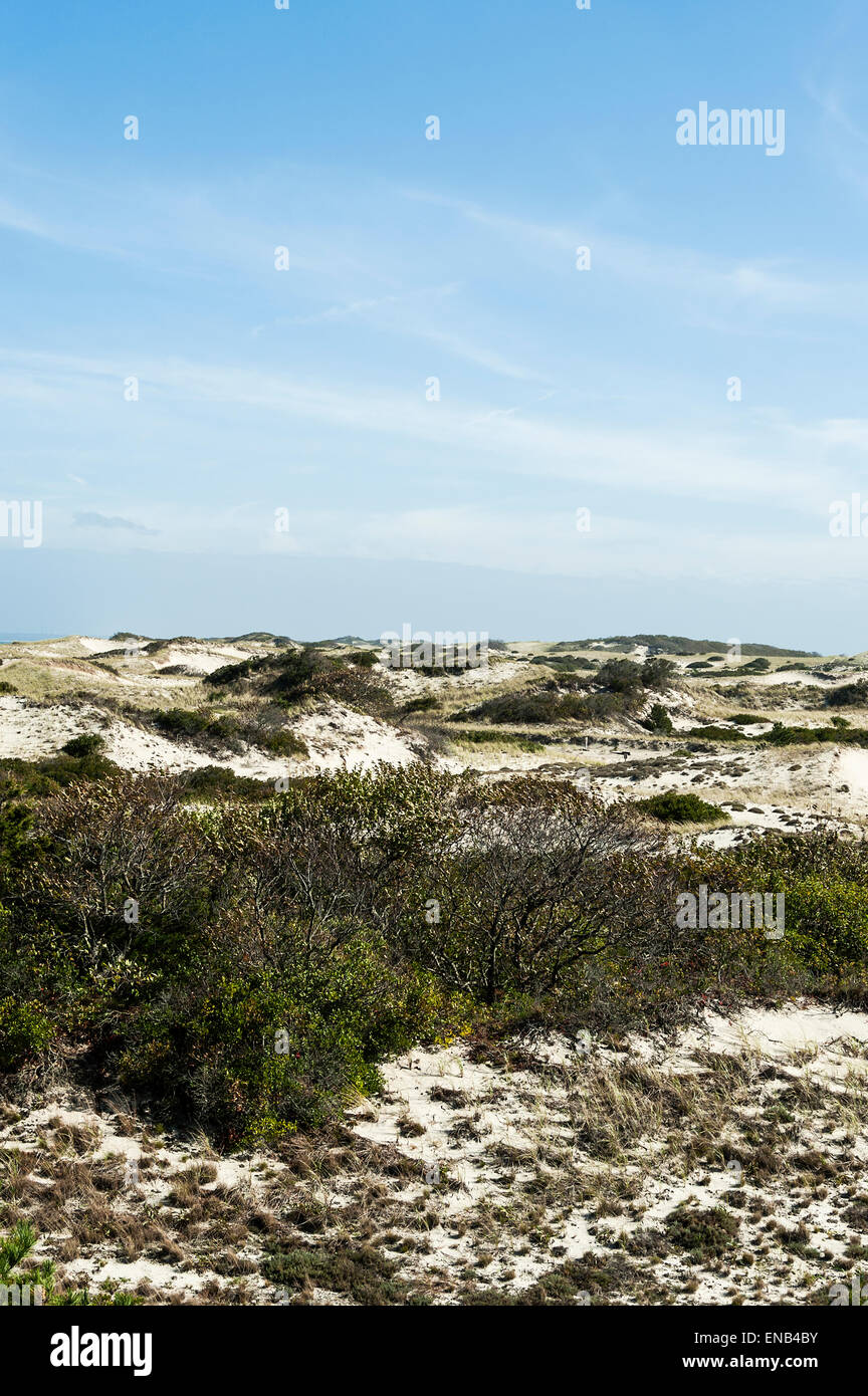 Dune di sabbia a collo Beach Park, Barnstable, Cape Cod, Massachusetts, STATI UNITI D'AMERICA Foto Stock