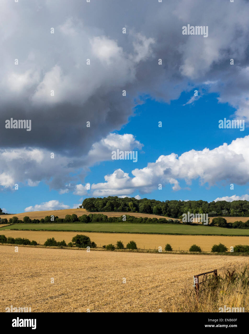 La North Downs campagna di Kent at Charing Foto Stock