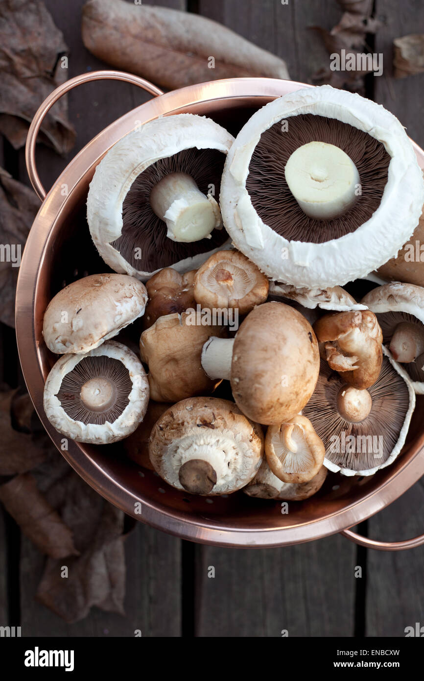 Un colapasta di rame pieno di vari tipi di funghi Foto Stock