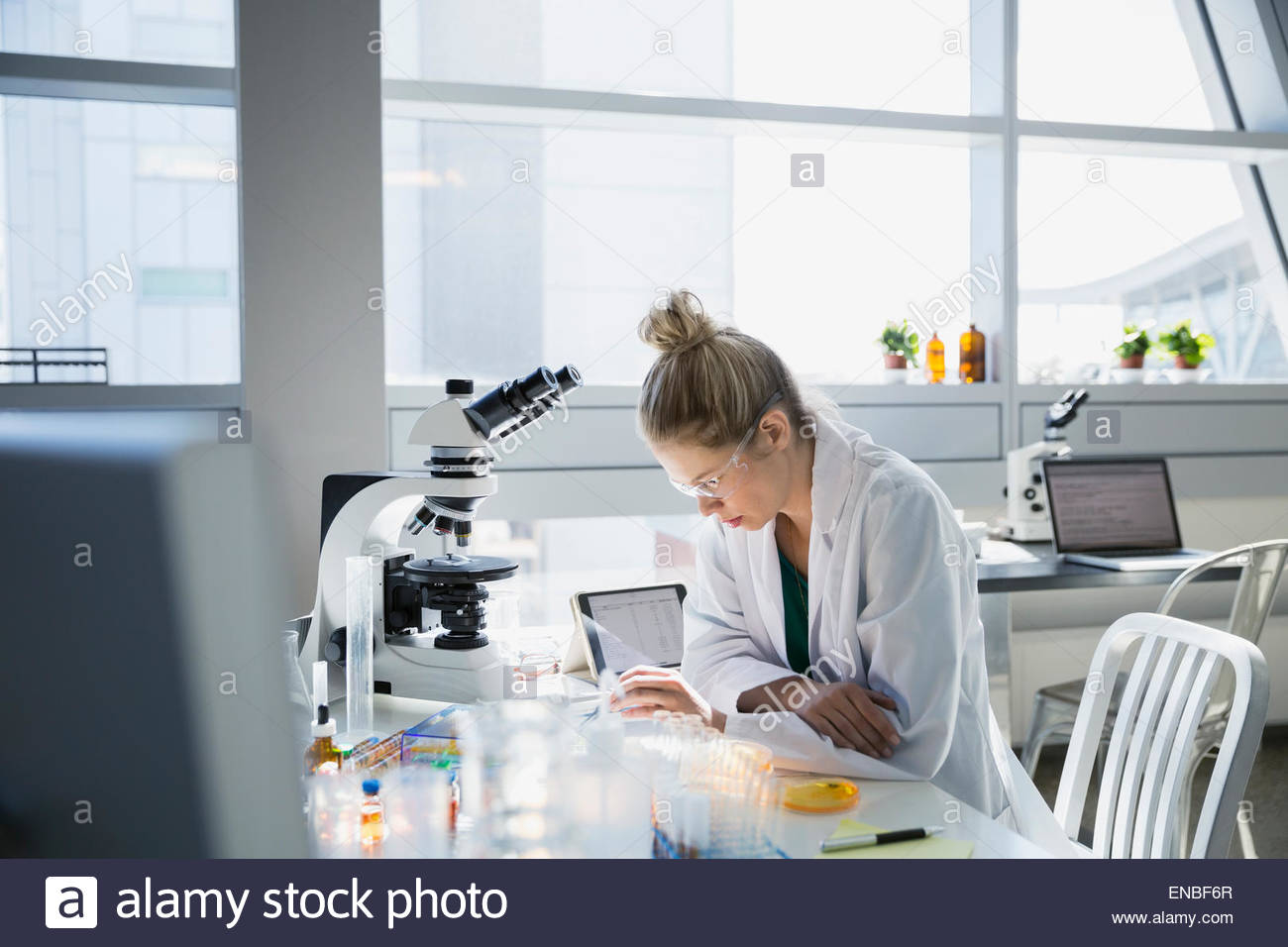 Scienziato conducendo esperimento scientifico in laboratorio Foto Stock