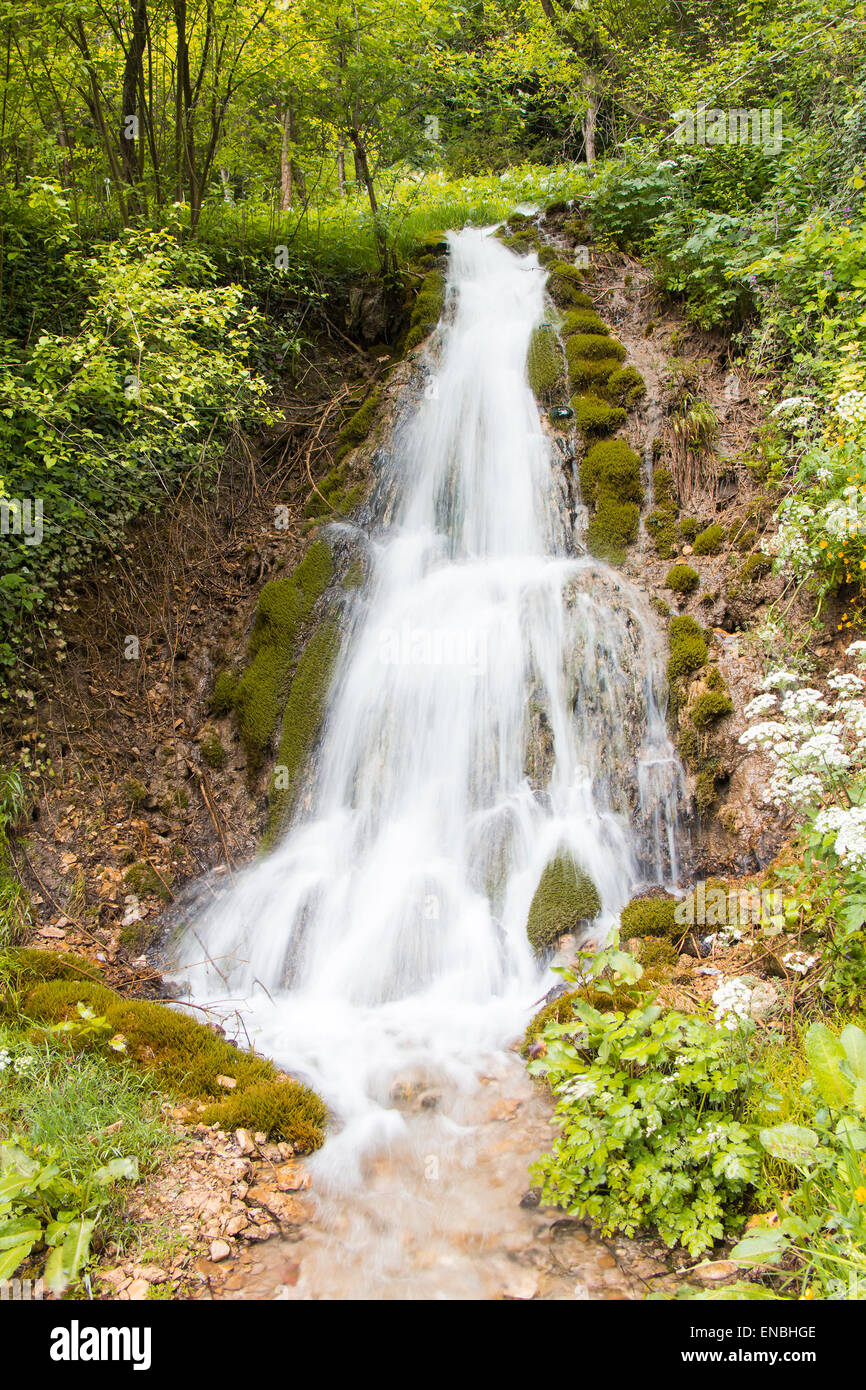 Una piccola cascata e flusso nella foresta verde Foto Stock