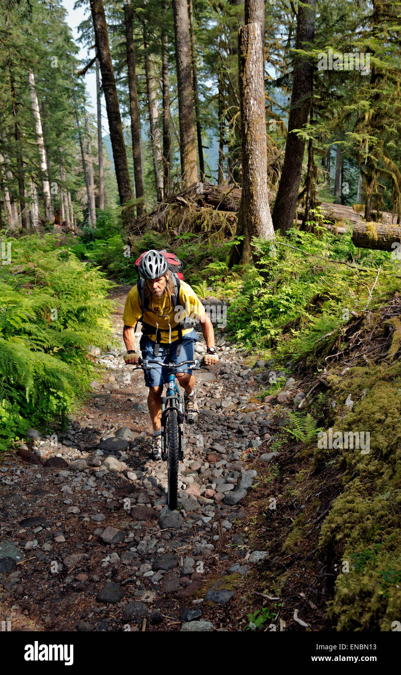 WASHINGTON - Mountain bike fino alluvione carbonio danneggiata River Road con uno zaino pieno di raggiungere il primo sentiero a Isput Creek Foto Stock