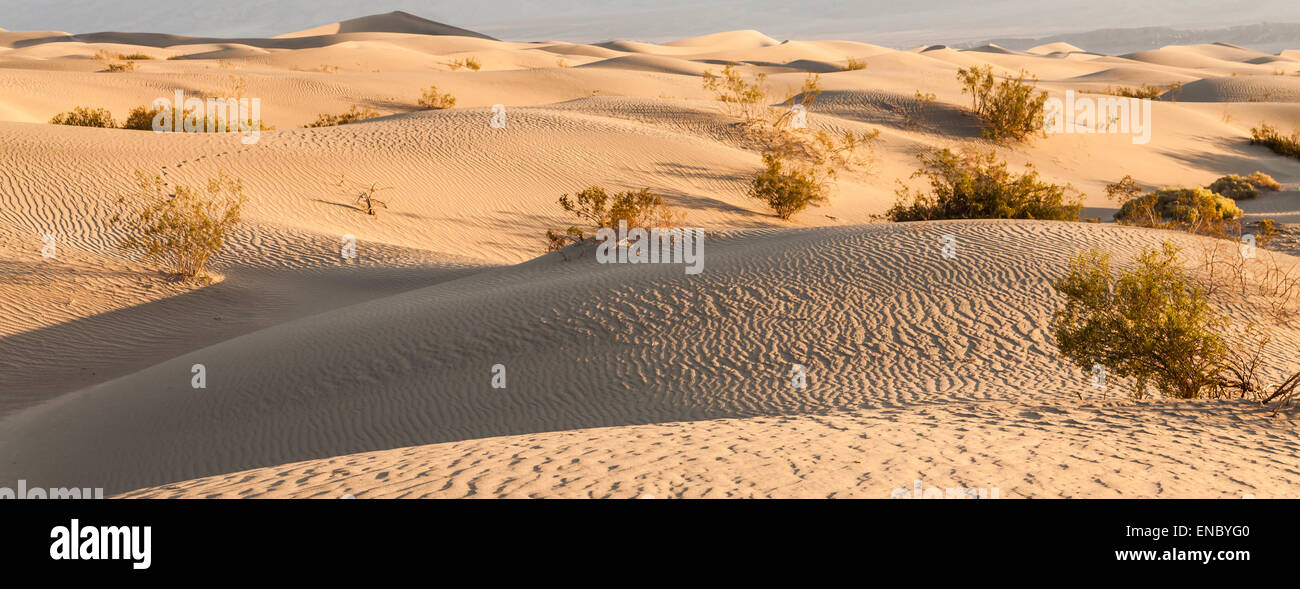 Le dune di sabbia di Mesquite piatto nella Valle della Morte nel deserto - California Foto Stock