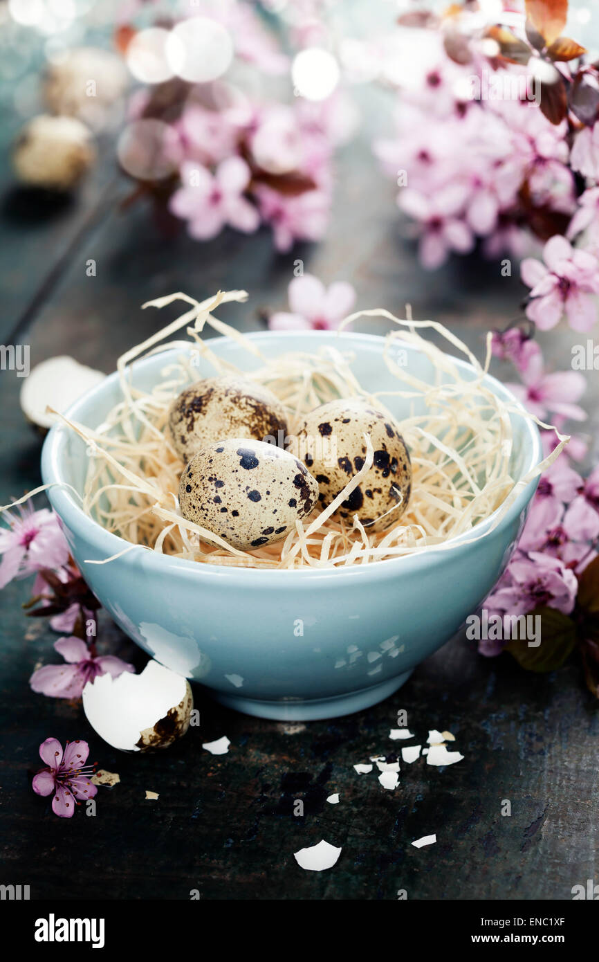 Quaglia uova di pasqua in abowl e molla fiori ciliegio sul tavolo di legno Foto Stock