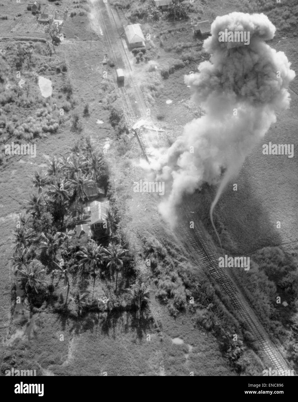 Una fotografia di Piction, che mostra le caratteristiche principali di questo soggetto come catturato in un momento visivamente significativo. Foto Stock