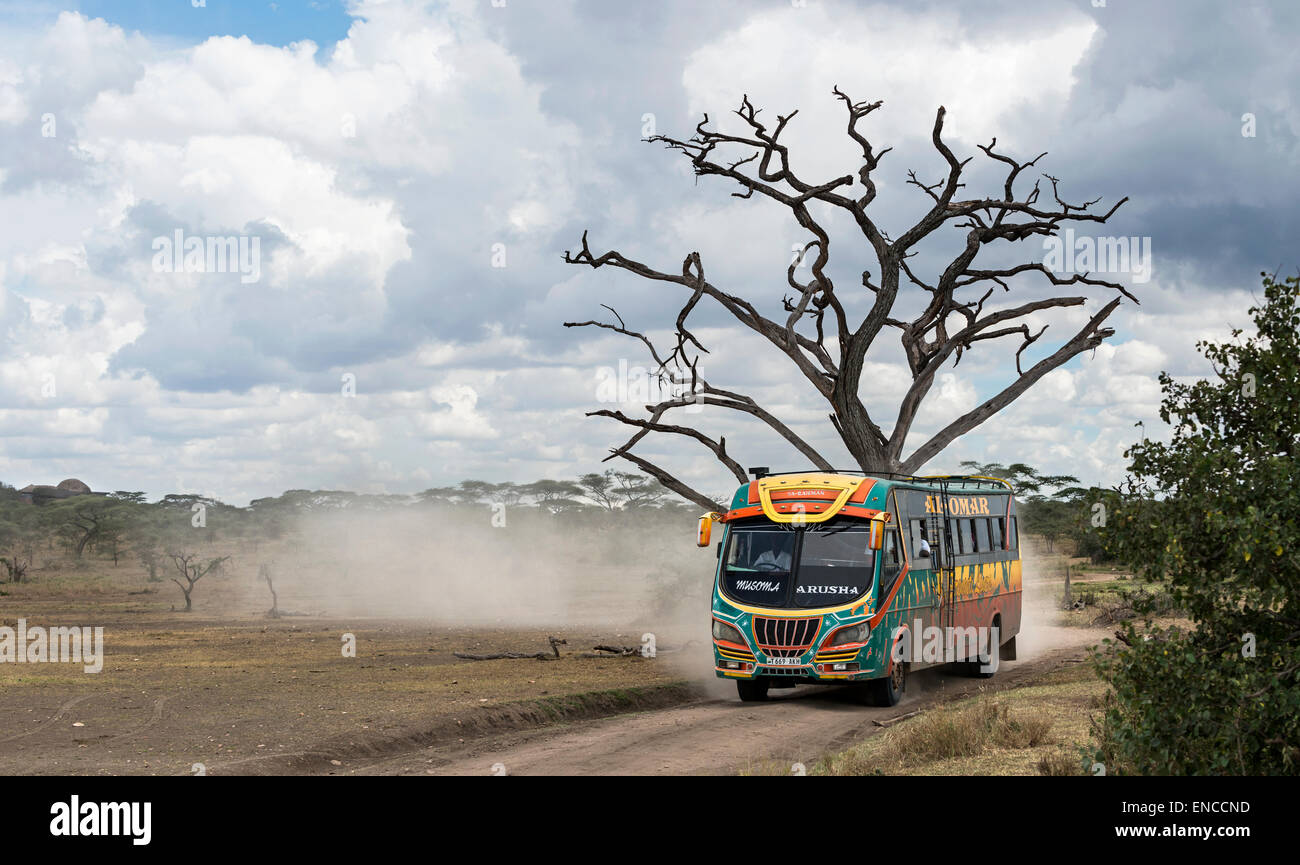 Il bus nel Serengeti, Tanzania Africa Foto Stock
