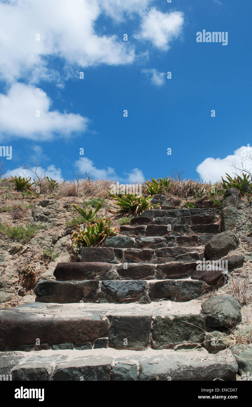 St Barth, St. Barths, Saint-Barthélemy, French West Indies, Antille Francesi: scalini in pietra sul sentiero per le Colombier Beach (Rockefeller Spiaggia) Foto Stock